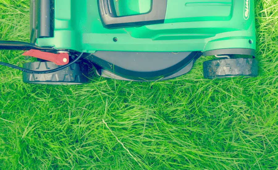 Elektrorasenmäher: Der perfekte Rasenmäher für jeden Bedarf